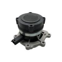 Bomba Água Tiggo anos 2021 à 2024 cod peça F4J161307020