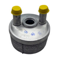 Resfriador Radiador Óleo Para Audi TT 1.8 1998 à 2006 cod peça 046018N 09G409061 8MO376787691 430M15A CLC179000S 216068Y000 CCLAU018 7701050155 7701059670 7701068748 58003358